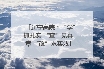 辽宁高院：“学”抓扎实 “查”见真章 “改”求实效