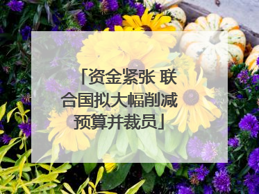 资金紧张 联合国拟大幅削减预算并裁员