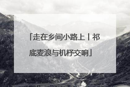 走在乡间小路上丨祁底麦浪与机杼交响