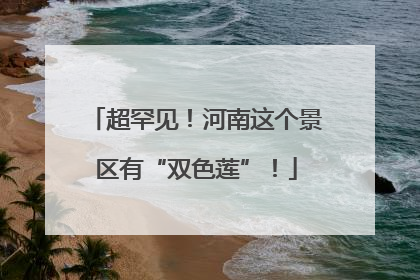 超罕见！河南这个景区有“双色莲”！