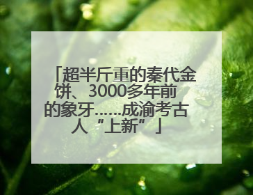 超半斤重的秦代金饼、3000多年前的象牙……成渝考古人“上新”