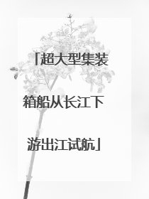 超大型集装箱船从长江下游出江试航