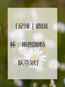 足球｜德国杯：斯图加特队夺冠