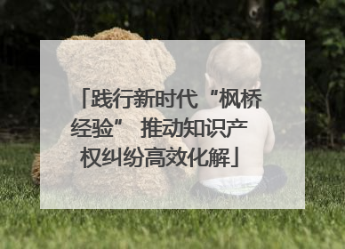 践行新时代“枫桥经验” 推动知识产权纠纷高效化解
