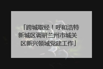 跨城取经！呼和浩特新城区调研兰州市城关区新兴领域党建工作