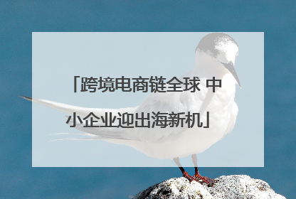 跨境电商链全球 中小企业迎出海新机