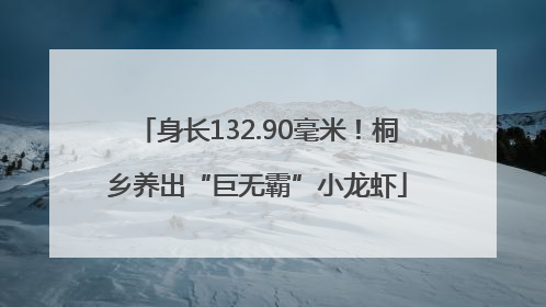 身长132.90毫米！桐乡养出“巨无霸”小龙虾