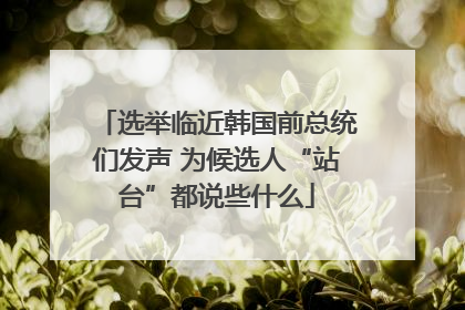 选举临近韩国前总统们发声 为候选人“站台”都说些什么