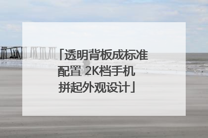 透明背板成标准配置 2K档手机拼起外观设计