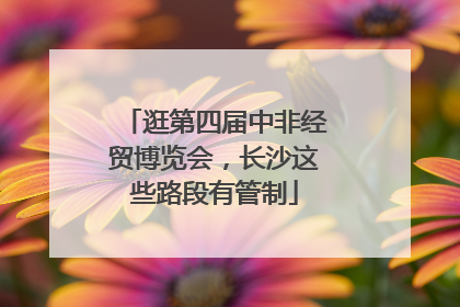 逛第四届中非经贸博览会，长沙这些路段有管制