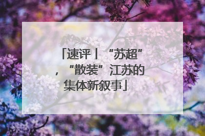 速评丨“苏超”，“散装”江苏的集体新叙事