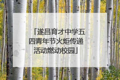遂昌育才中学五四青年节火炬传递活动燃动校园