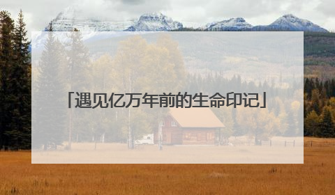 遇见亿万年前的生命印记