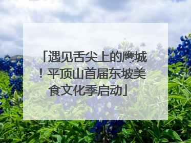 遇见舌尖上的鹰城！平顶山首届东坡美食文化季启动