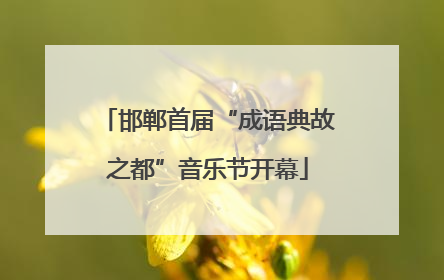 邯郸首届“成语典故之都”音乐节开幕