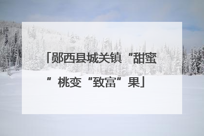 郧西县城关镇“甜蜜”桃变“致富”果