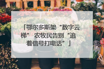 鄂尔多斯架“数字云梯” 农牧民告别“追着信号打电话”