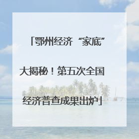 鄂州经济“家底”大揭秘！第五次全国经济普查成果出炉