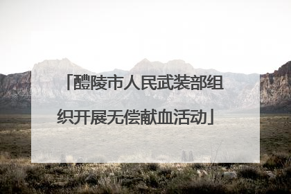 醴陵市人民武装部组织开展无偿献血活动