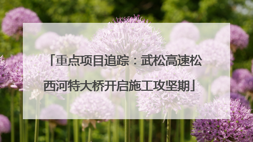 重点项目追踪：武松高速松西河特大桥开启施工攻坚期