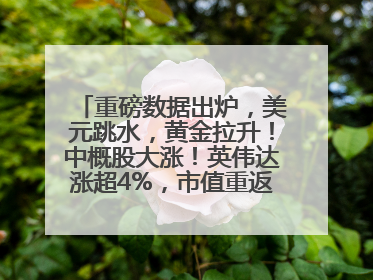 重磅数据出炉，美元跳水，黄金拉升！中概股大涨！英伟达涨超4%，市值重返全球第一！黄仁勋计划出售至多600万股股票