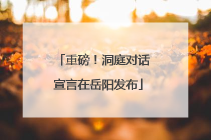 重磅！洞庭对话宣言在岳阳发布