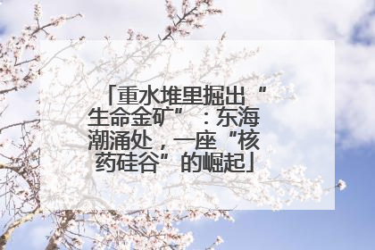 重水堆里掘出“生命金矿”：东海潮涌处，一座“核药硅谷”的崛起