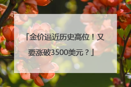 金价逼近历史高位！又要涨破3500美元？