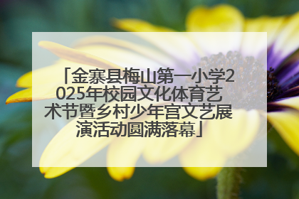 金寨县梅山第一小学2025年校园文化体育艺术节暨乡村少年宫文艺展演活动圆满落幕