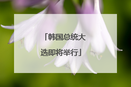 韩国总统大选即将举行