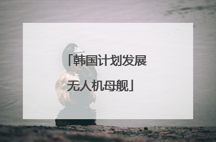 韩国计划发展无人机母舰