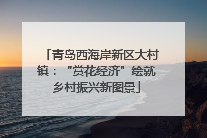 青岛西海岸新区大村镇：“赏花经济”绘就乡村振兴新图景