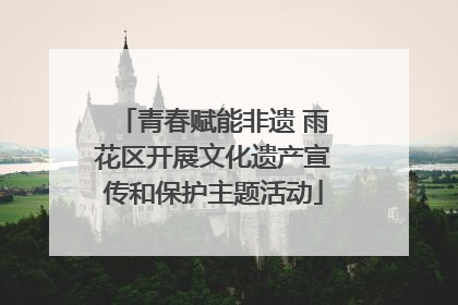 青春赋能非遗 雨花区开展文化遗产宣传和保护主题活动