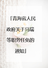 青海省人民政府关于马瑞等职务任免的通知