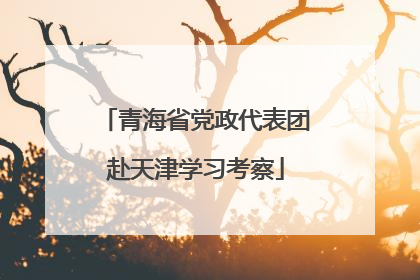 青海省党政代表团赴天津学习考察