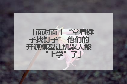 面对面丨“拿着锤子找钉子” 他们的开源模型让机器人能“上学”了