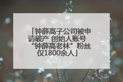 钟薛高子公司被申请破产 创始人账号“钟薛高老林”粉丝仅1800余人