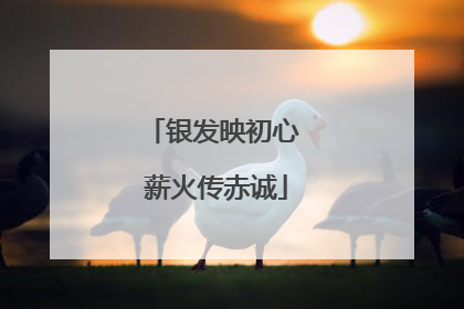 银发映初心 薪火传赤诚