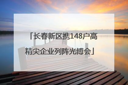 长春新区携148户高精尖企业列阵光博会