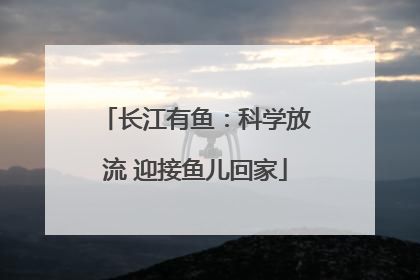 长江有鱼：科学放流 迎接鱼儿回家