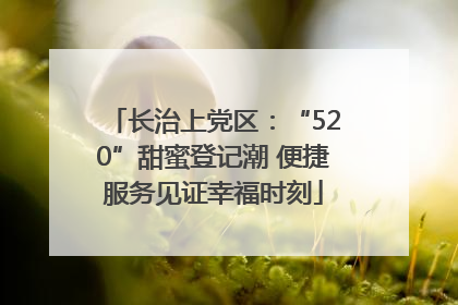长治上党区：“520”甜蜜登记潮 便捷服务见证幸福时刻