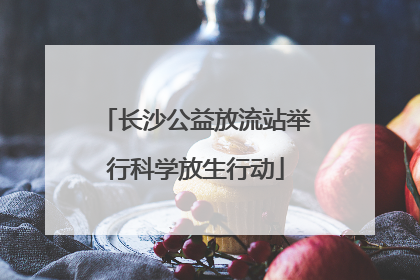 长沙公益放流站举行科学放生行动