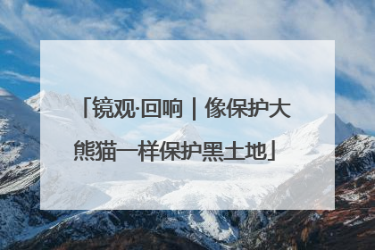 镜观·回响｜像保护大熊猫一样保护黑土地