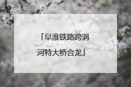 阜淮铁路跨涡河特大桥合龙