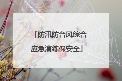 防汛防台风综合应急演练保安全