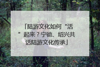 陆游文化如何“活 ”起来？宁德、绍兴共话陆游文化传承