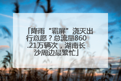 降雨“霸屏”浇灭出行意愿？总流量860.21万辆次，湖南长沙周边最繁忙