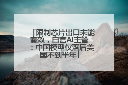 限制芯片出口未能奏效，白宫AI主管：中国模型仅落后美国不到半年