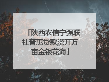 陕西农信宁强联社普惠贷款浇开万亩金银花海