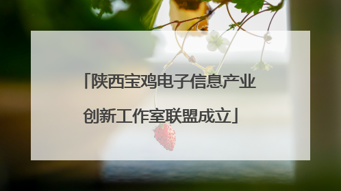 陕西宝鸡电子信息产业创新工作室联盟成立
